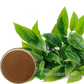 NATUREL 98% TEA POLYPHENOL GREEN THE EXTRAIT